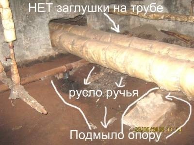 Цель и задачи обследования подвала