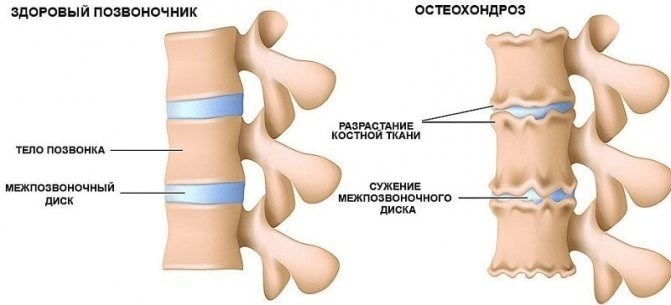 Какие документы необходимы для получения больничного?